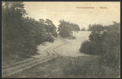 16830 Gezicht op een zandverstuiving in de omgeving van Baarn.